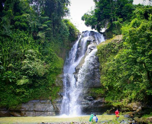 Merpati Cilacap: Menari di Angin, Menghibur Hati